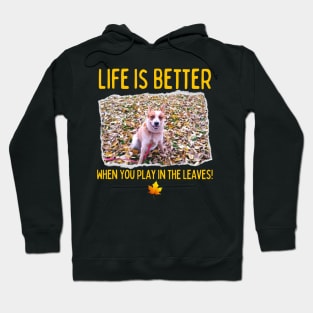 Australian Cattle Dog-Life Is Better When You Play In The Leaves! Hoodie